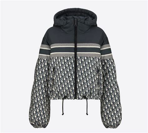 dior winter jacket women's|dior windbreaker jacket.